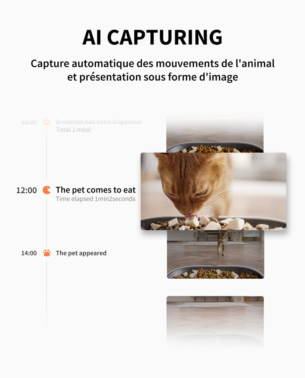 Distributeur automatique de croquettes pour chat avec caméra HD 1080P WiFi 2,4G double trémie 5L contrôle par application bol inox