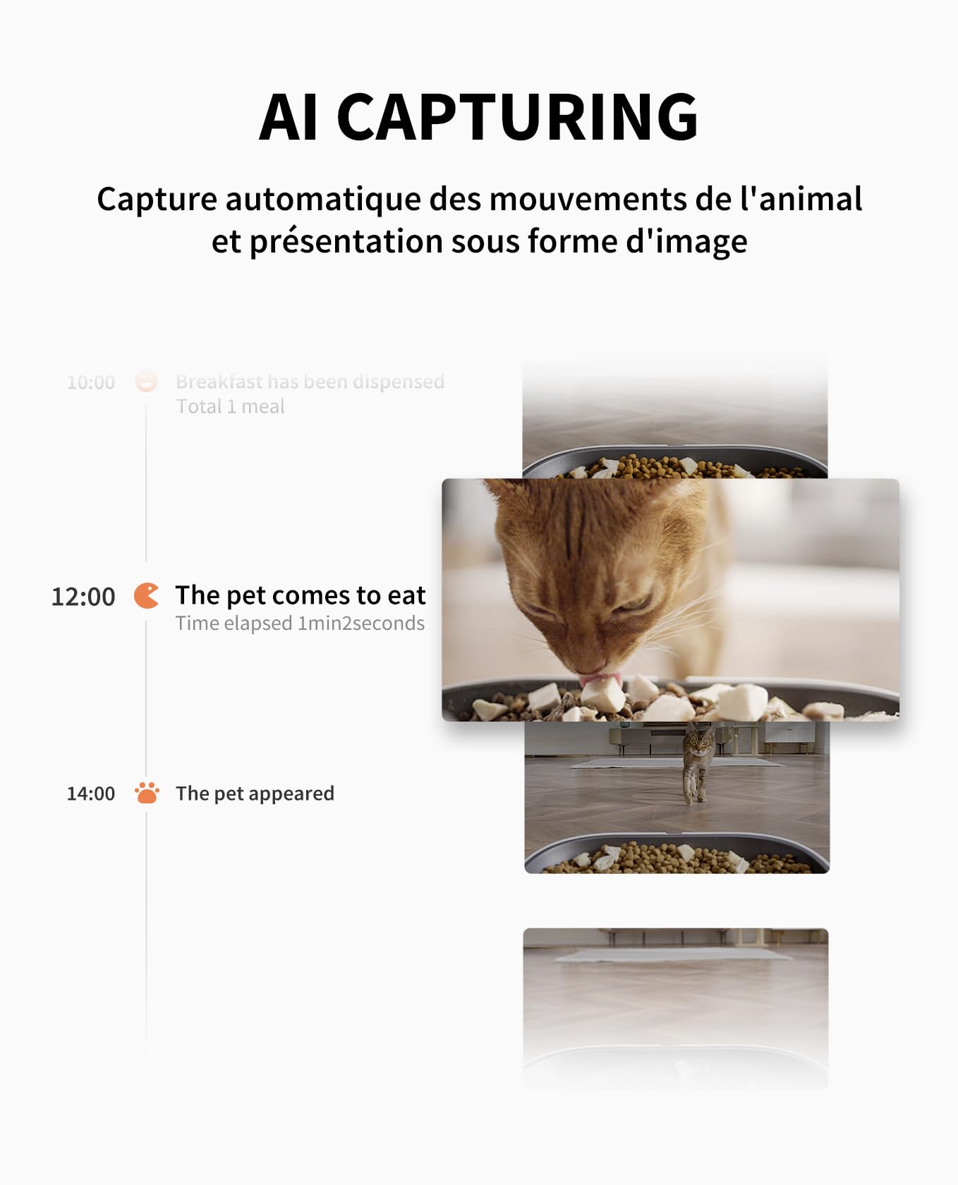 Distributeur automatique de croquettes pour chat avec caméra HD 1080P WiFi 2,4G double trémie 5L contrôle par application bol inox