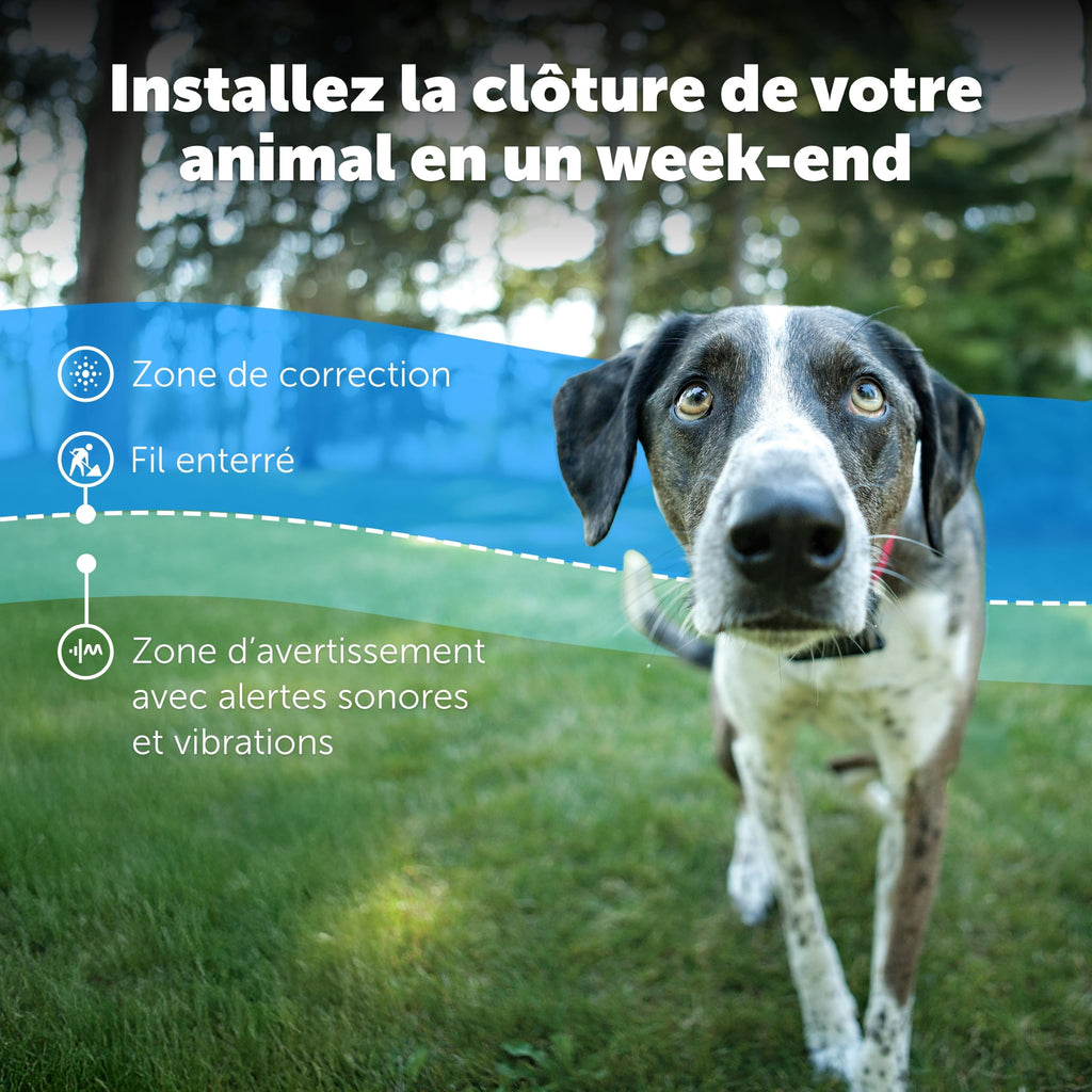 Clôture enterrée pour chien avec collier étanche fil périmétrique 5 niveaux de correction statique pour chiens têtus