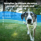 Clôture enterrée pour chien avec collier étanche fil périmétrique 5 niveaux de correction statique pour chiens têtus