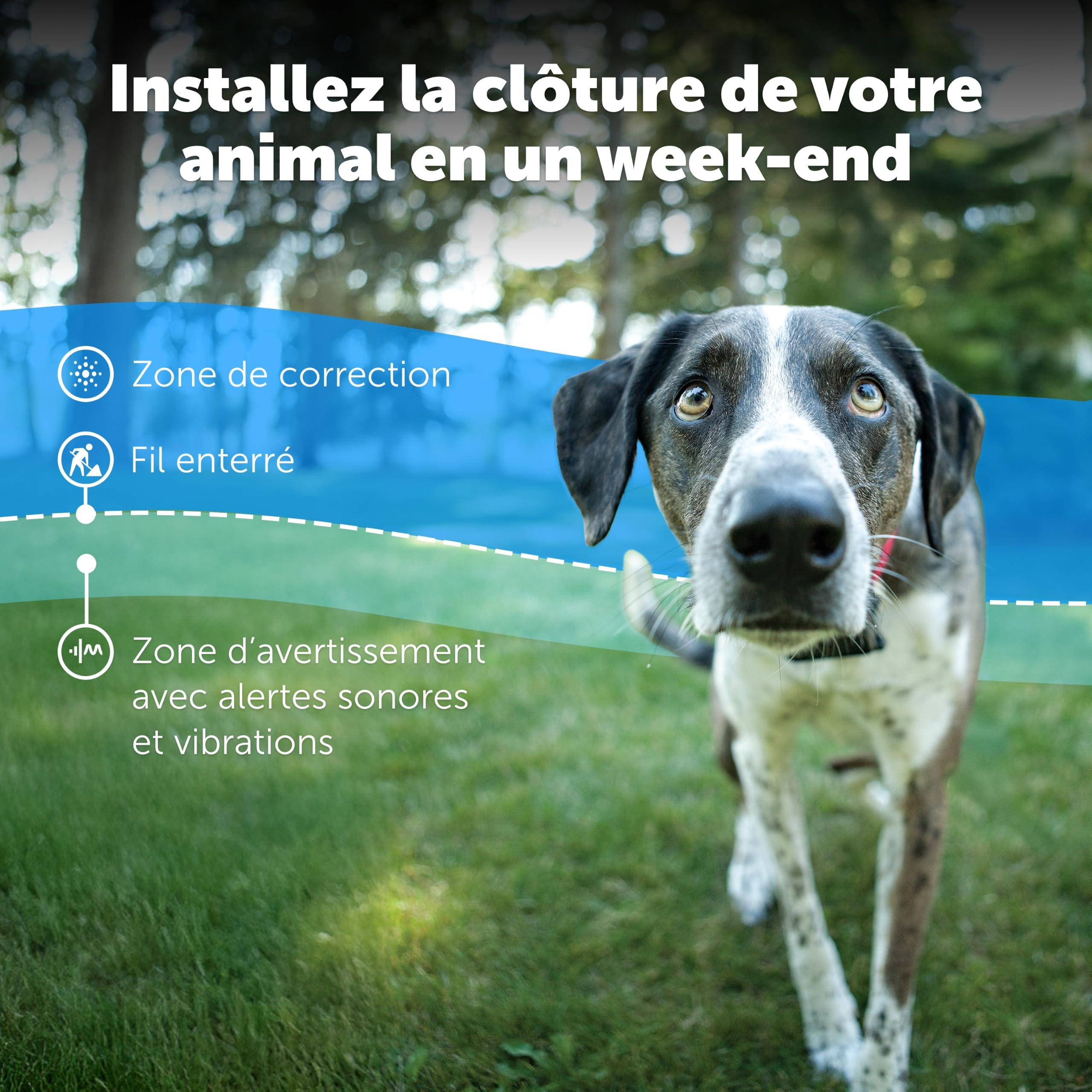 Clôture enterrée pour chien avec collier étanche fil périmétrique 5 niveaux de correction statique pour chiens têtus