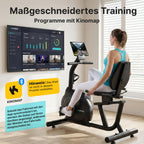Liegeergometer mit 16 magnetischen Widerstandsstufen und LCD-Anzeige, bis 160 kg, verstellbarer Sitz und Lenker