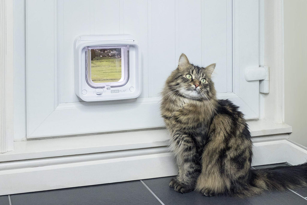 Chatière électronique pour chat avec micropuce RFID DualScan contrôle par application ouverture sélective taille 22 x 22 cm