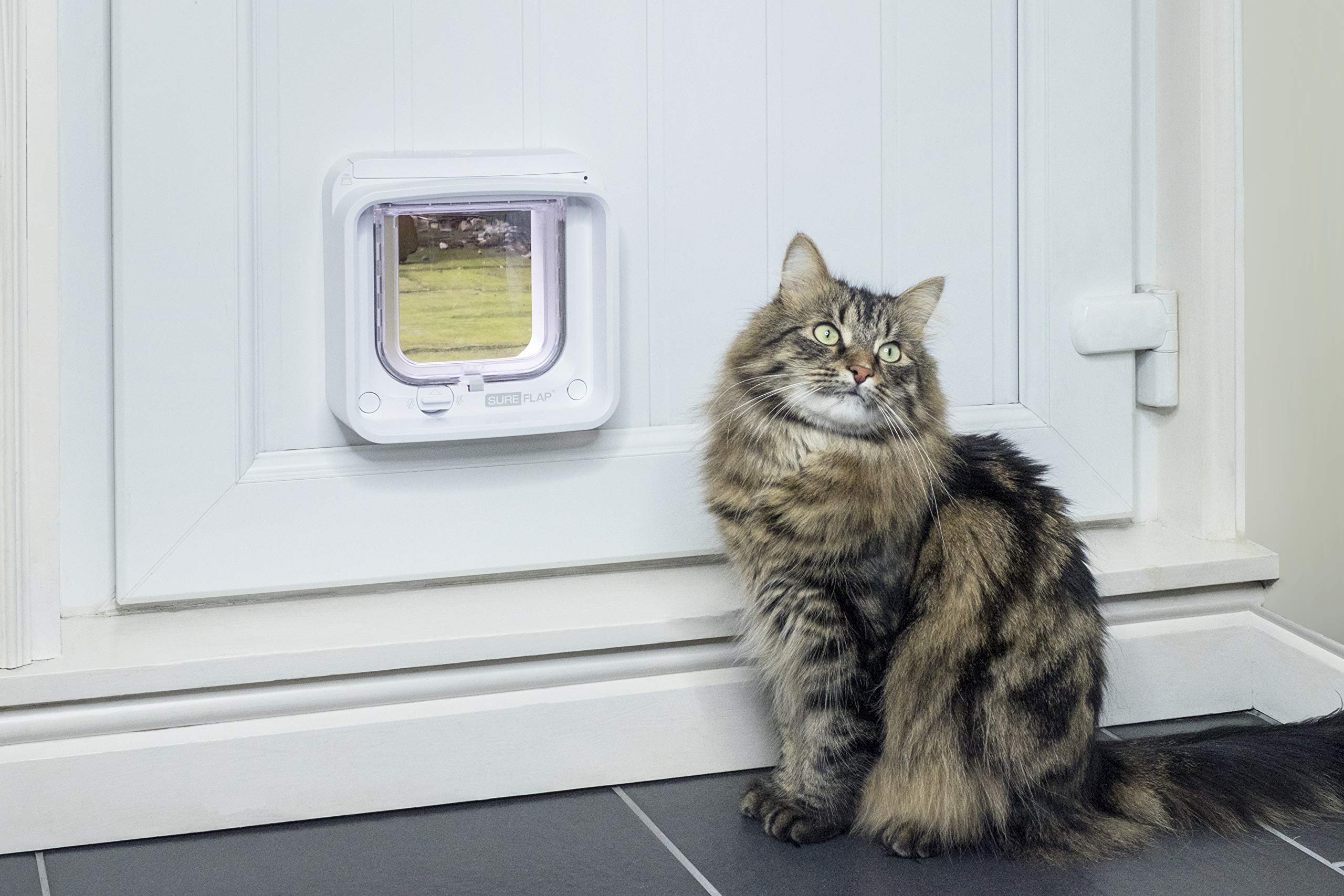 Chatière électronique pour chat avec micropuce RFID DualScan contrôle par application ouverture sélective taille 22 x 22 cm
