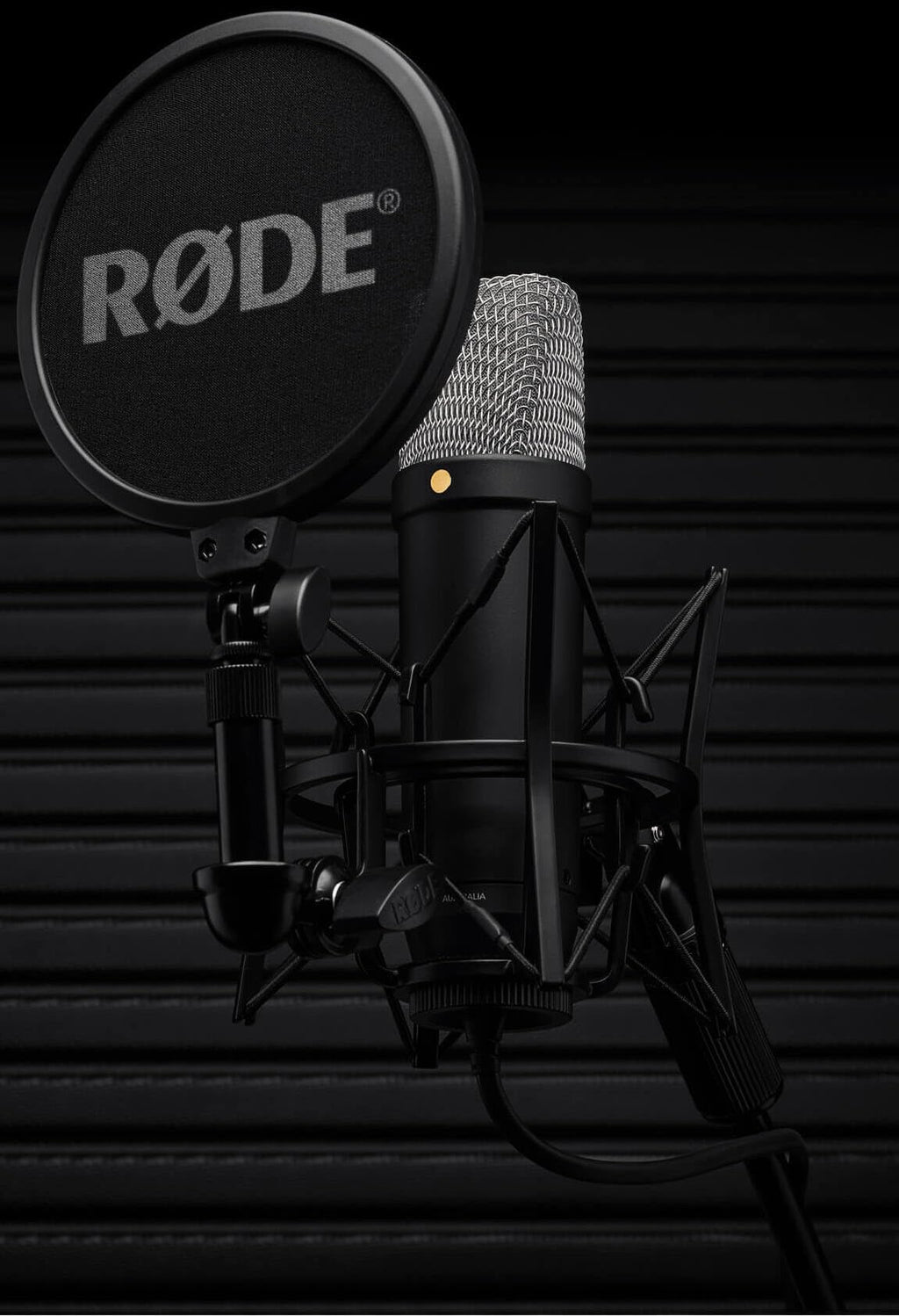 Großmembran-Kondensatormikrofon NT1 5. Generation mit XLR- und USB-Ausgang, inkl. Spinne, Popfilter und XLR-Kabel