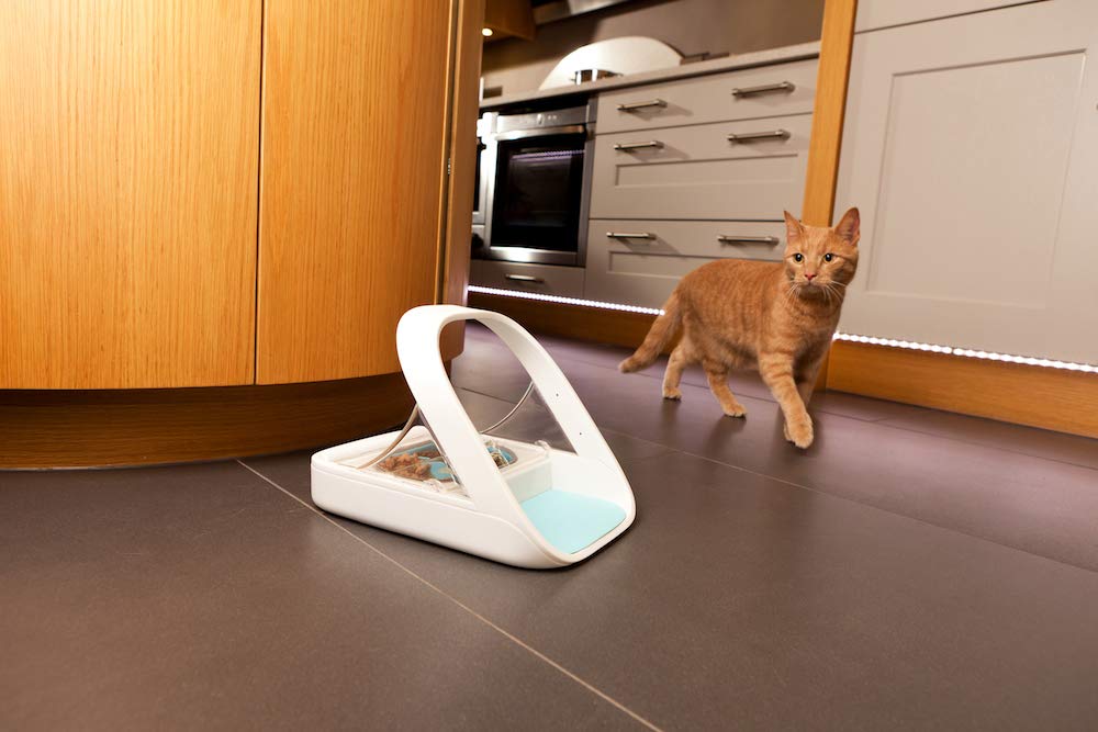 Distributeur de nourriture électronique RFID pour chat et chien capacité 400 ml avec couvercle hermétique