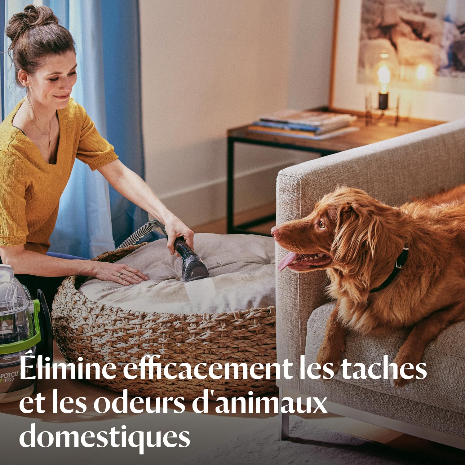 Shampouineuse SpotClean Pet Pro 15585 750W nettoyeur tapis moquette canapé tissus et voiture réservoir 2,8L