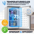 Klein-Gefrierschrank 73 L mit 4-Sterne-Gefrierfach, 3 Fächer und wechselbarem Türanschlag, silber
