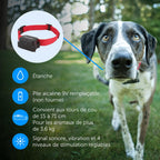 Clôture enterrée pour chien avec collier étanche fil périmétrique 5 niveaux de correction statique pour chiens têtus