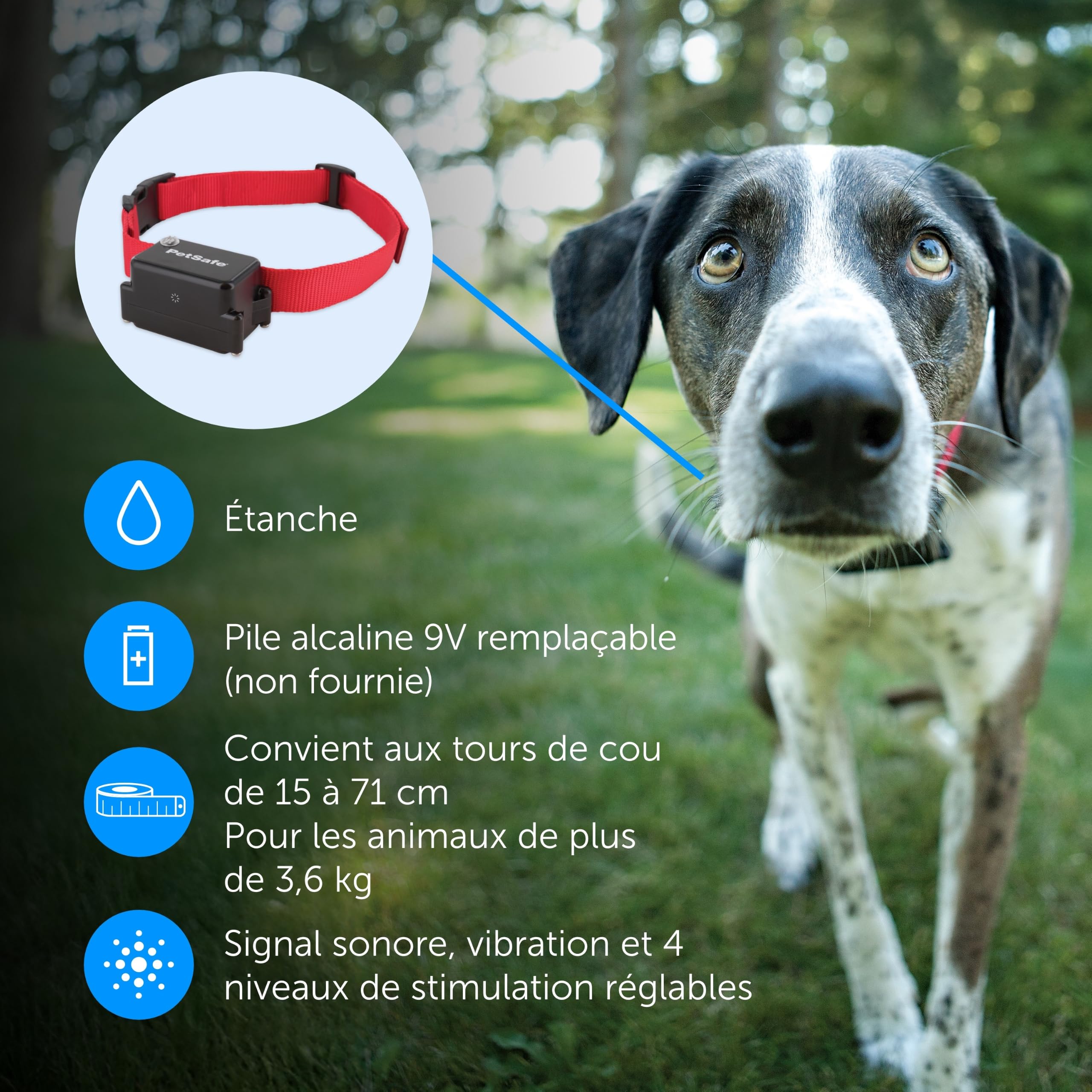 Clôture enterrée pour chien avec collier étanche fil périmétrique 5 niveaux de correction statique pour chiens têtus