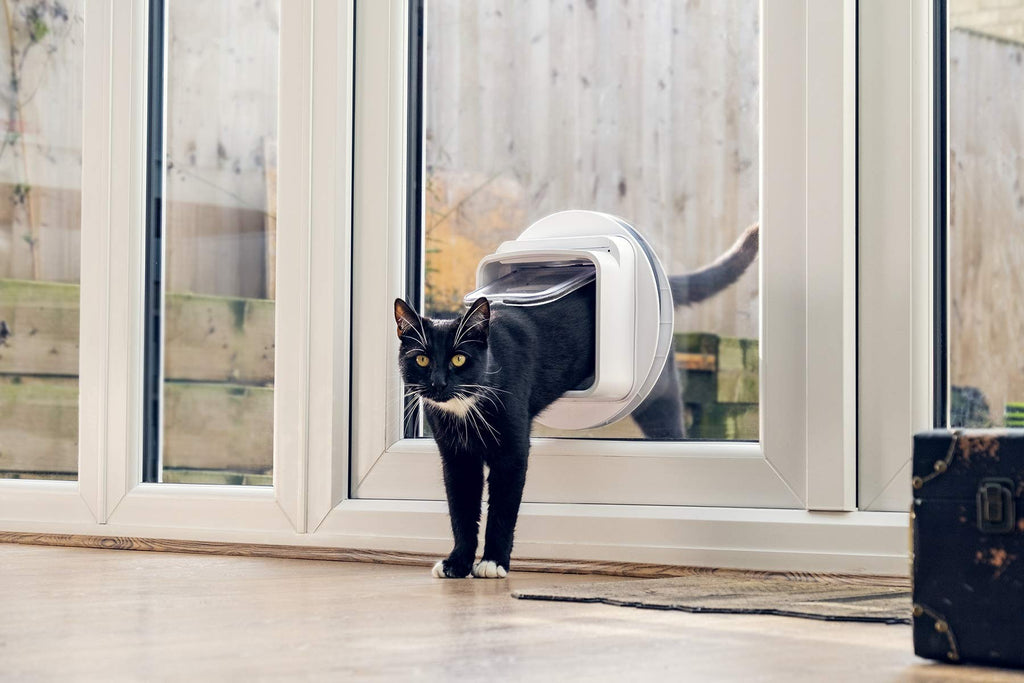 Chatière électronique pour chat avec micropuce RFID DualScan contrôle par application ouverture sélective taille 22 x 22 cm