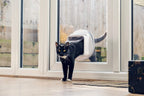 Chatière électronique pour chat avec micropuce RFID DualScan contrôle par application ouverture sélective taille 22 x 22 cm
