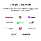 Musik-Streamer ASR002 für Stereoanlagen mit AirPlay 2 Spotify Connect Hi-Res 192 kHz 24 Bit WLAN und Ethernet