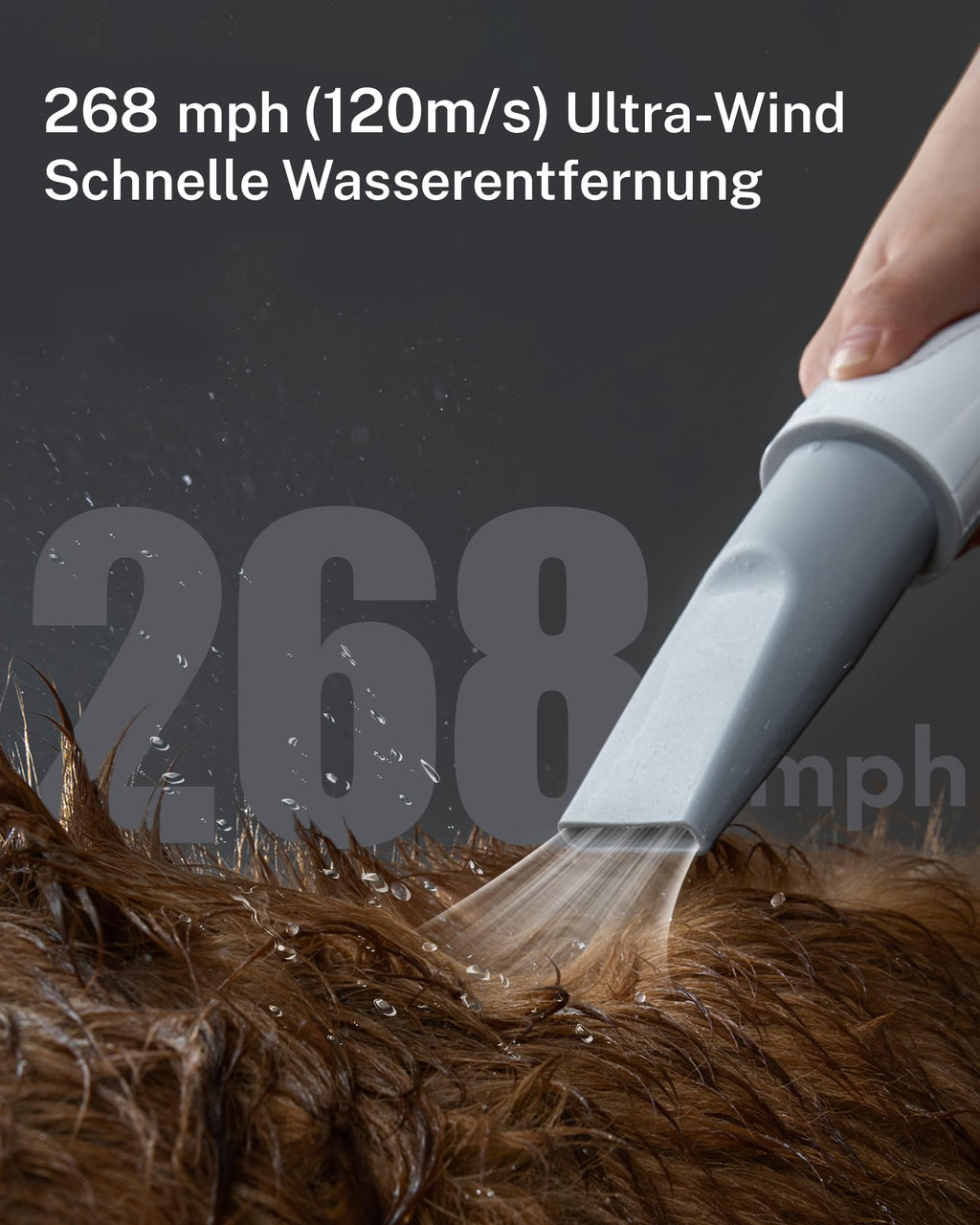 Hundefön mit 120 m/s Luftgeschwindigkeit, 43 dB, 3 Temperaturstufen und 99-stufiger Gebläseregelung, inklusive 3 Aufsätze