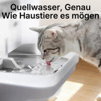 Katzen Trinkbrunnen EverSweet Ultra 5 L mit KI-Kamera Frisch- und Abwassertrennung App-Steuerung 2,4 und 5 GHz WLAN