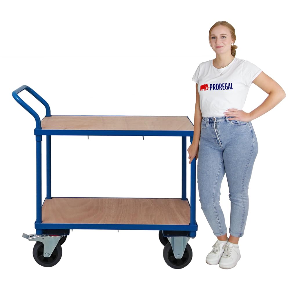 Tischwagen Transportwagen mit 2 Etagen, 95x50x97 cm, 2 Lenk- und Bockrollen, Traglast 400 kg, lichtblau