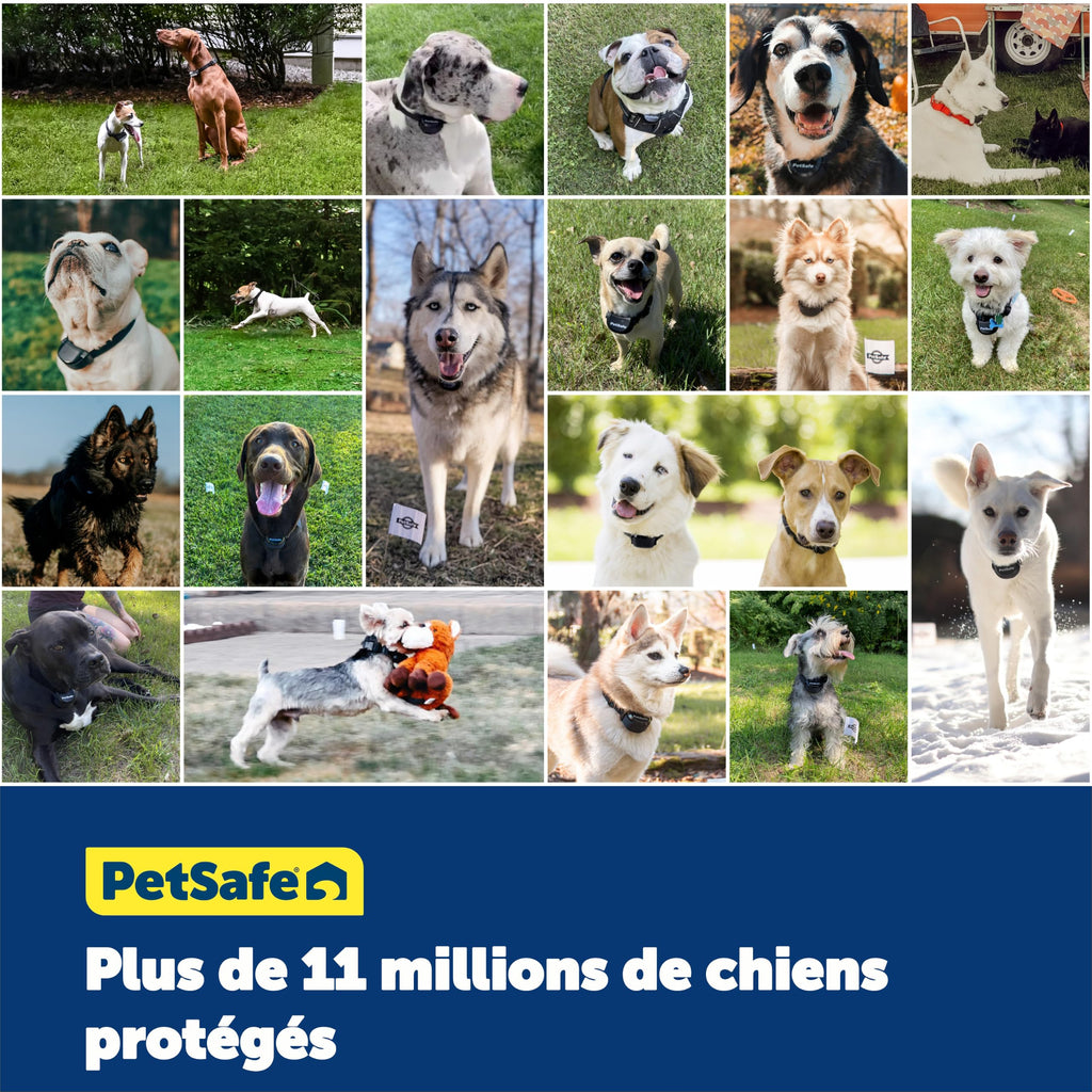 Clôture enterrée pour chien avec collier étanche fil périmétrique 5 niveaux de correction statique pour chiens têtus