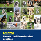Clôture enterrée pour chien avec collier étanche fil périmétrique 5 niveaux de correction statique pour chiens têtus