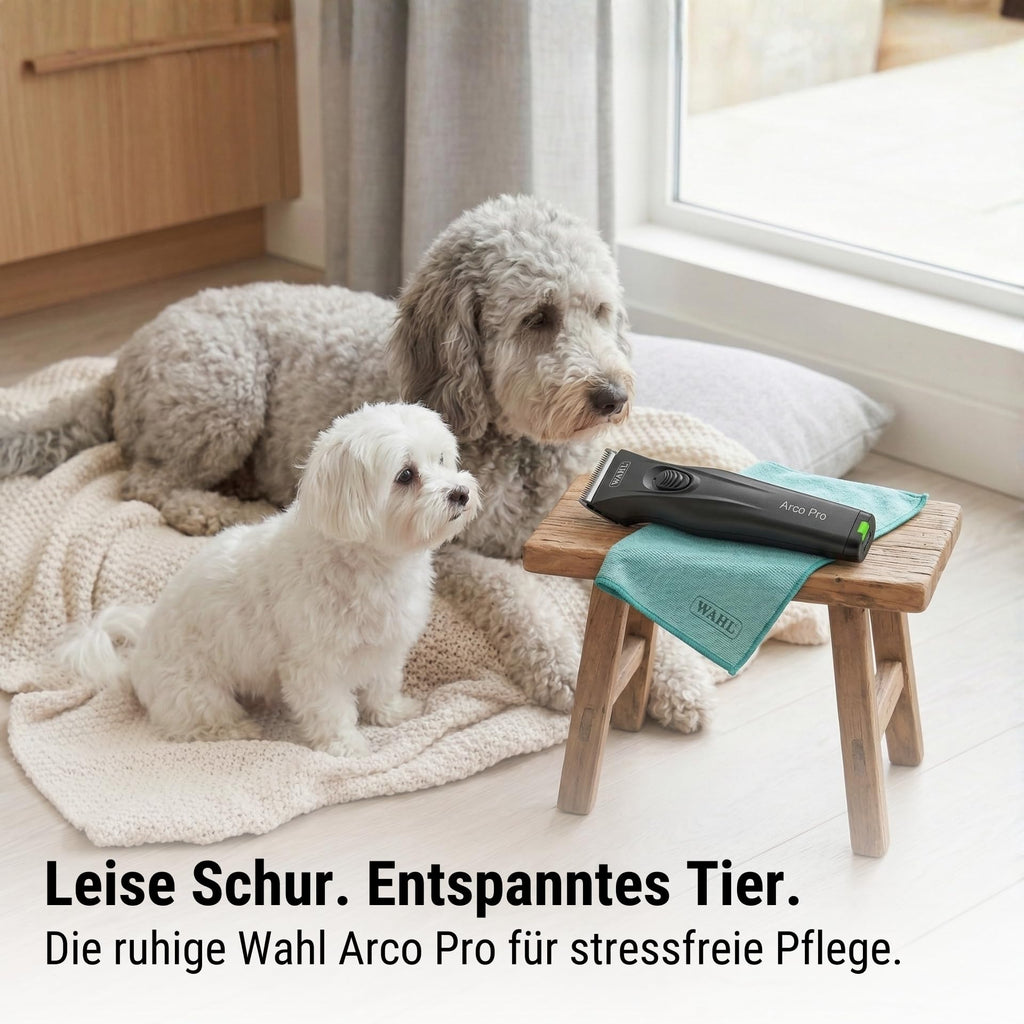 Akku-Haarschermaschine Arco Pro für Hunde und Katzen mit 1,5 mm Edelstahlklinge 120 Min Akkulaufzeit Aufsteckkämmen