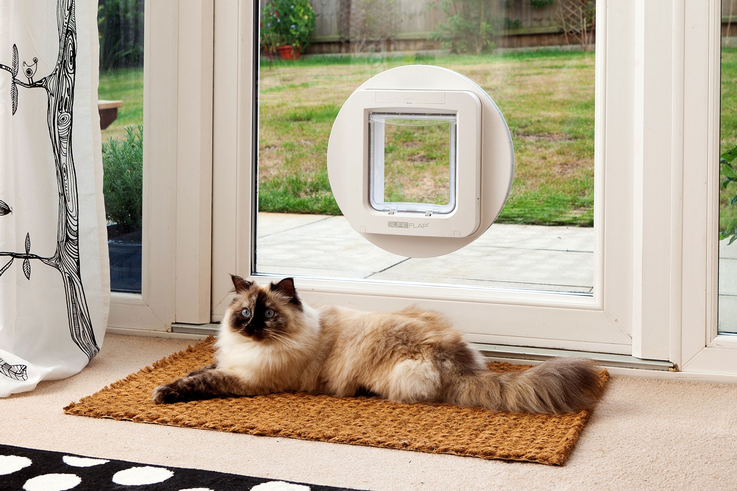 Chatière électronique pour chat et petit chien avec micropuce RFID ouverture sélective mode couvre-feu taille 178 x 170 mm