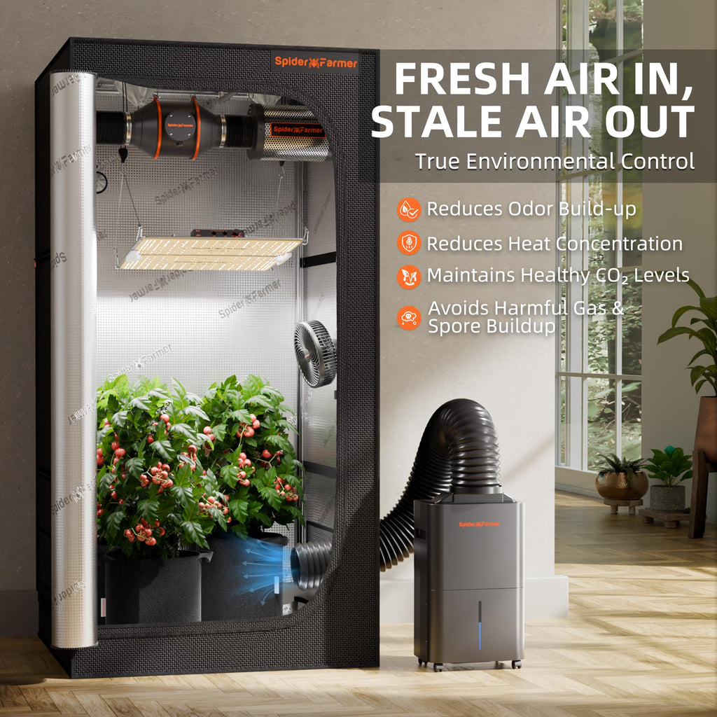 Luftentfeuchter 12 L/Tag für Growzelt, Indoor-Garten und Keller mit 2,1-L-Tank, Digitalanzeige und 24-Stunden-Timer