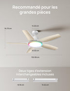 Ventilateur de plafond intelligent avec éclairage LED RGB 132 cm moteur CC silencieux contrôle APP et télécommande DR-HCF002S