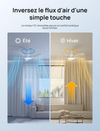 Ventilateur de plafond intelligent avec éclairage LED RGB 132 cm moteur CC silencieux contrôle APP et télécommande DR-HCF002S