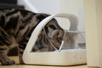 Distributeur de nourriture électronique RFID pour chat et chien capacité 400 ml avec couvercle hermétique