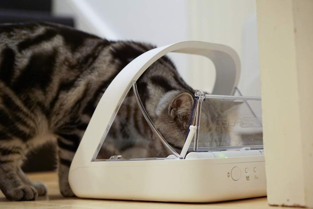 Distributeur de nourriture électronique RFID pour chat et chien capacité 400 ml avec couvercle hermétique