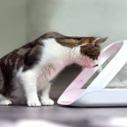 Mikrochip-Futterautomat mit App-Steuerung für Katzen, batteriebetrieben, für Nass- und Trockenfutter, weiß