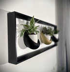 Cadre mural végétal magnétique 20x60 cm - 3 pots céramique - Support plantes noir mat