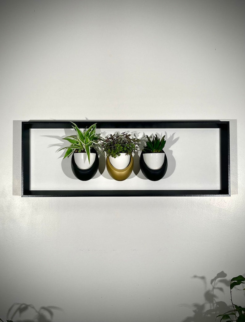 Cadre mural végétal magnétique 20x60 cm - 3 pots céramique - Support plantes noir mat
