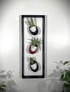 Cadre mural végétal magnétique 20x60 cm - 3 pots céramique - Support plantes noir mat