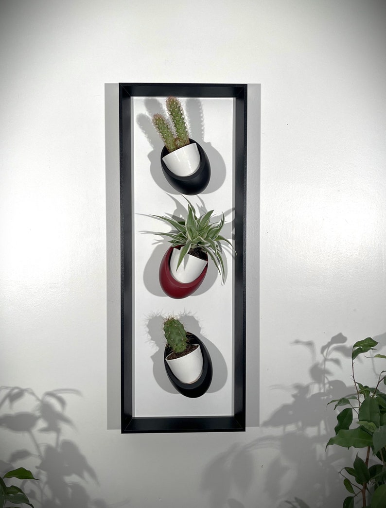 Cadre mural végétal magnétique 20x60 cm - 3 pots céramique - Support plantes noir mat