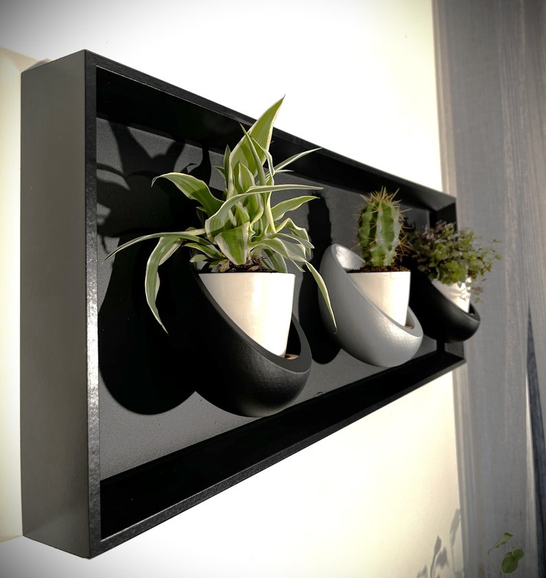 Cadre mural végétal magnétique 20x60 cm - 3 pots céramique - Support plantes noir mat