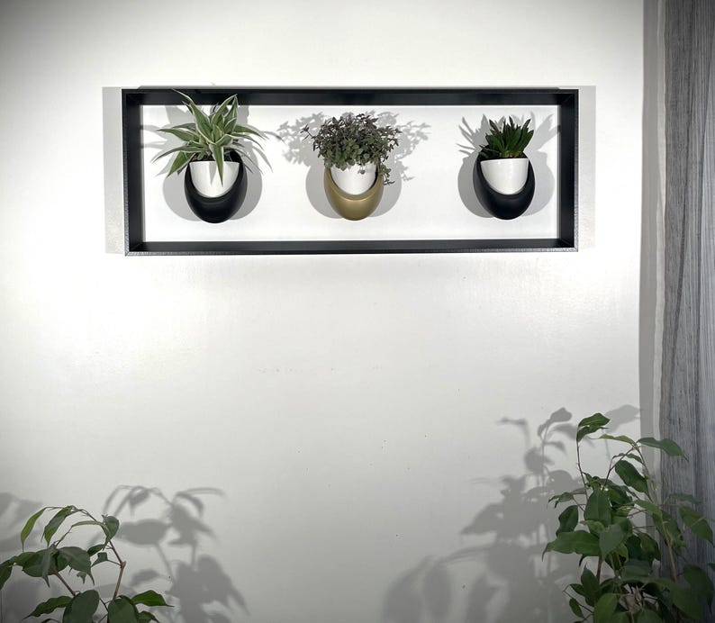 Cadre mural végétal magnétique 20x60 cm - 3 pots céramique - Support plantes noir mat