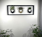 Cadre mural végétal magnétique 20x60 cm - 3 pots céramique - Support plantes noir mat
