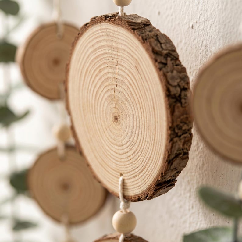 Décoration murale bois d'eucalyptus tranche de bois botanique rustique suspendue art mural minimaliste